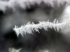 Ice Crystals