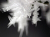 Ice Crystals