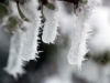 Icicles with Crystals