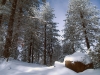 Boulder with Snow Drift
