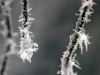 Ice Crystals