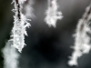 Ice Crystals