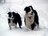 Betsy and Ben in Snow