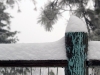 Snow on Post and Rail