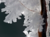 Ice Crystals