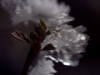 Ice Crystals