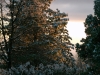 Melting Snow