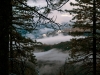 Clouds and Branches