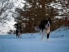 Ben and Betsy Running in Snow