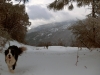 Ben and Betsy Running in Snow