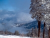 Pine in Snow with Clouds