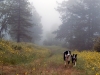Ben and Betsy in Fog