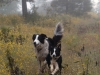 Ben and Betsy in Fog